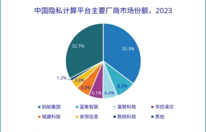 蓝象智联增速领跑第一阵营，稳居头部